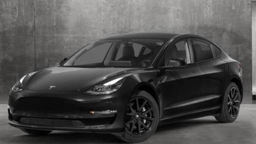 TESLA MODEL 3 2023 5YJ3E1EA5PF385461 image